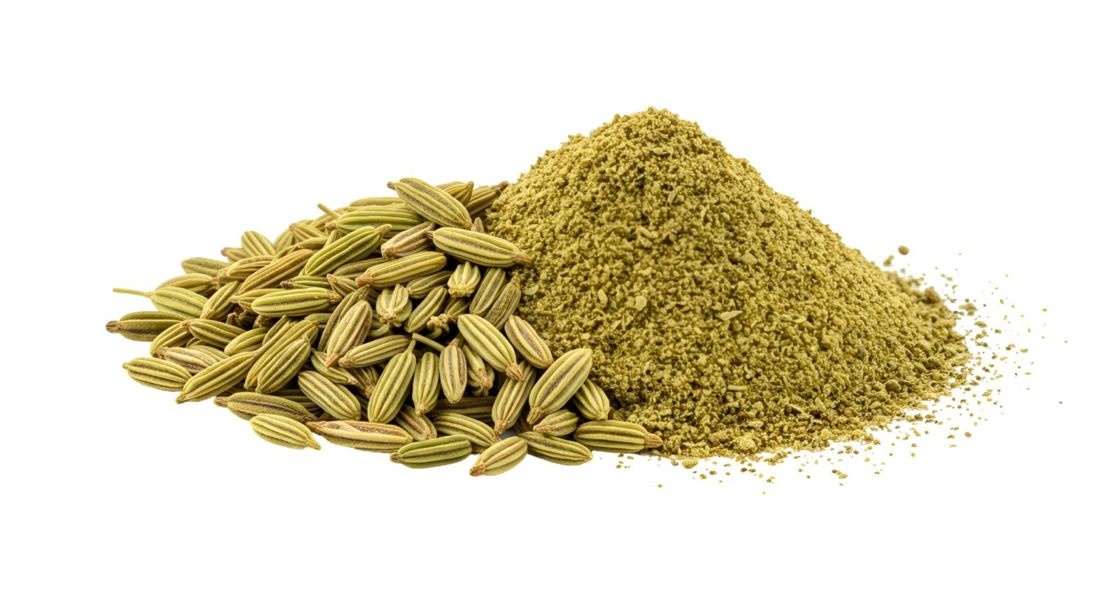 Fennel Seeds and Powder